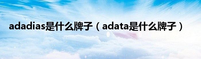 adadias是什么牌子（adata是什么牌子）