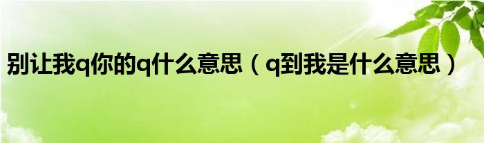 别让我q你的q什么意思（q到我是什么意思）