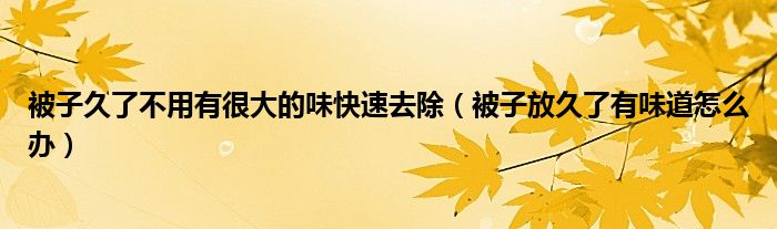 被子久了不用有很大的味快速去除（被子放久了有味道怎么办）