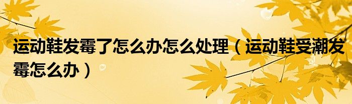 运动鞋发霉了怎么办怎么处理（运动鞋受潮发霉怎么办）