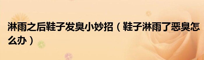 淋雨之后鞋子发臭小妙招（鞋子淋雨了恶臭怎么办）