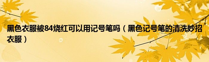 黑色衣服被84烧红可以用记号笔吗（黑色记号笔的清洗妙招衣服）
