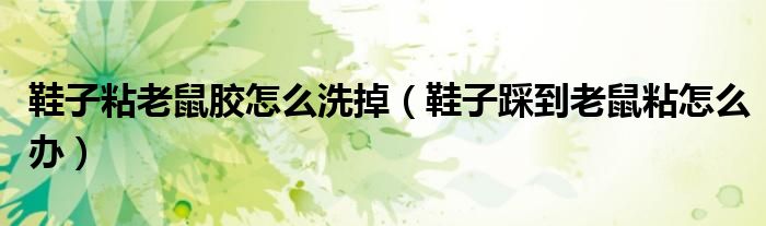 鞋子粘老鼠胶怎么洗掉（鞋子踩到老鼠粘怎么办）
