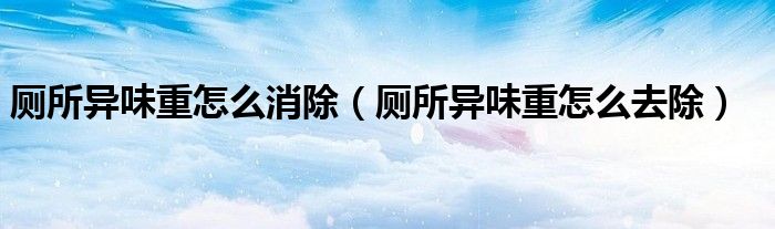 厕所异味重怎么消除（厕所异味重怎么去除）