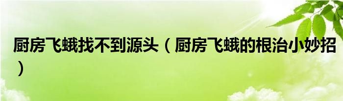厨房飞蛾找不到源头（厨房飞蛾的根治小妙招）