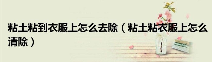 粘土粘到衣服上怎么去除（粘土粘衣服上怎么清除）
