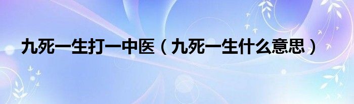简洁的九死一生什么意思的插图