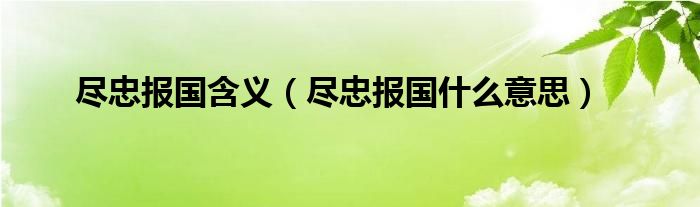 尽忠报国含义（尽忠报国什么意思）