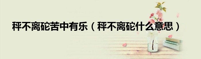 秤不离砣苦中有乐（秤不离砣什么意思）