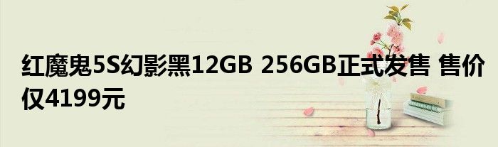 红魔鬼5S幻影黑12GB 256GB正式发售 售价仅4199元