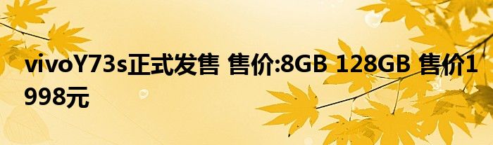 vivoY73s正式发售 售价:8GB 128GB 售价1998元