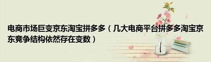 电商市场巨变京东淘宝拼多多（几大电商平台拼多多淘宝京东竞争结构依然存在变数）