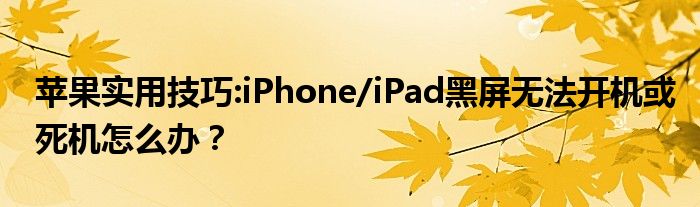 苹果实用技巧:iPhone/iPad黑屏无法开机或死机怎么办？