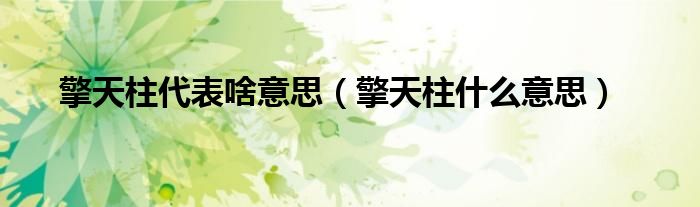 擎天柱代表啥意思（擎天柱什么意思）