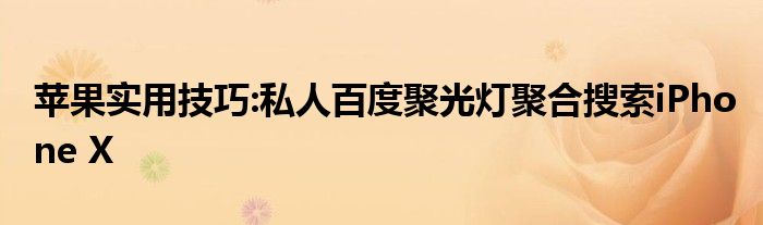 苹果实用技巧:私人百度聚光灯聚合搜索iPhone X