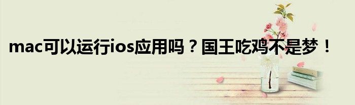 mac可以运行ios应用吗？国王吃鸡不是梦！