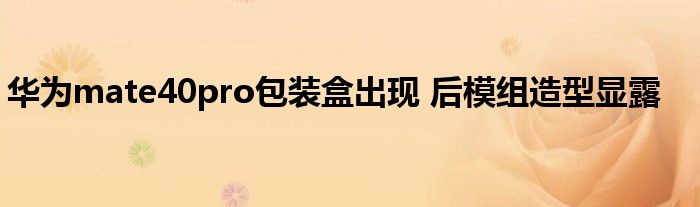华为mate40pro包装盒出现 后模组造型显露
