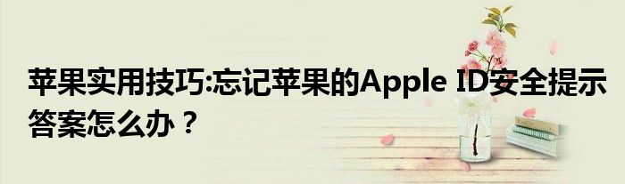 苹果实用技巧:忘记苹果的Apple ID安全提示答案怎么办？
