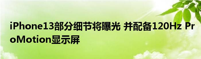 iPhone13部分细节将曝光 并配备120Hz ProMotion显示屏