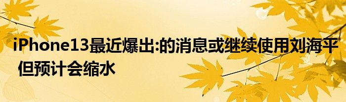 iPhone13最近爆出:的消息或继续使用刘海平 但预计会缩水