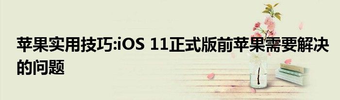 苹果实用技巧:iOS 11正式版前苹果需要解决的问题