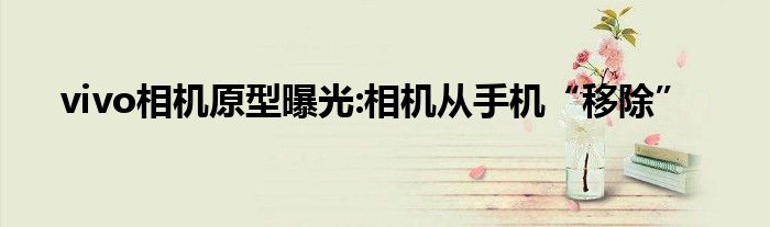vivo相机原型曝光:相机从手机“移除”