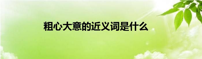 粗心大意的近义词是什么