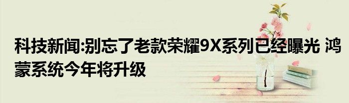 科技新闻:别忘了老款荣耀9X系列已经曝光 鸿蒙系统今年将升级