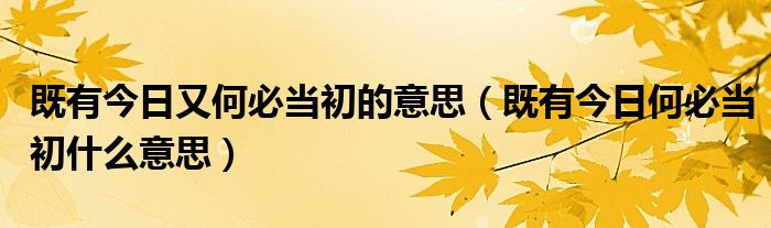既有今日又何必当初的意思（既有今日何必当初什么意思）
