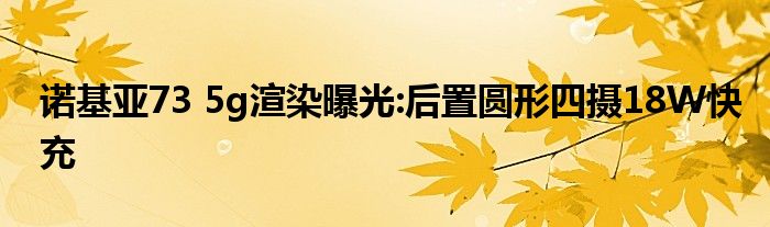 诺基亚73 5g渲染曝光:后置圆形四摄18W快充