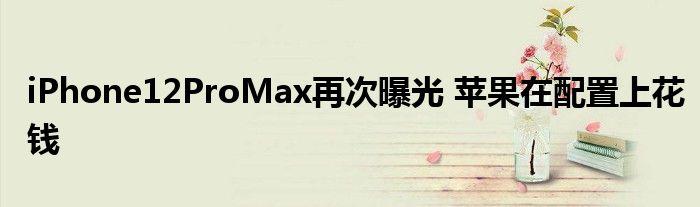 iPhone12ProMax再次曝光 苹果在配置上花钱