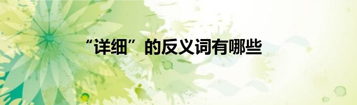 “详细”的反义词有哪些