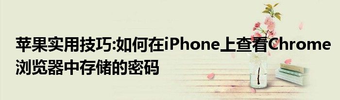 苹果实用技巧:如何在iPhone上查看Chrome浏览器中存储的密码