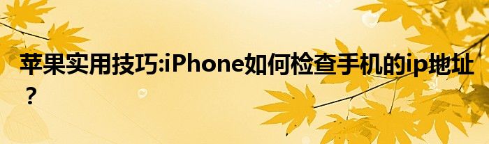 苹果实用技巧:iPhone如何检查手机的ip地址？