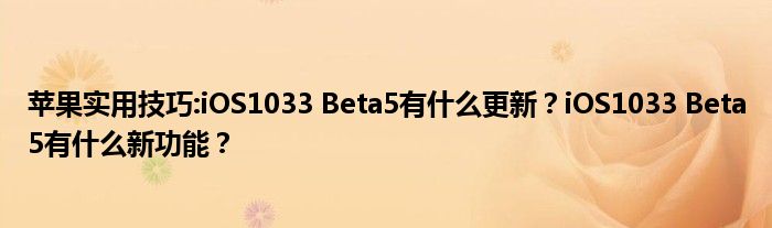 苹果实用技巧:iOS1033 Beta5有什么更新？iOS1033 Beta5有什么新功能？