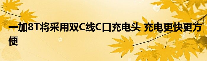 一加8T将采用双C线C口充电头 充电更快更方便