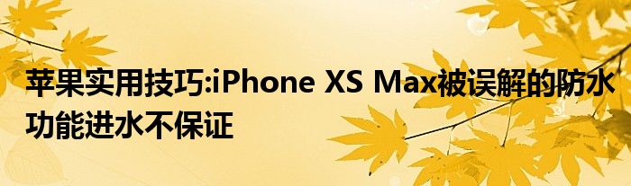 苹果实用技巧:iPhone XS Max被误解的防水功能进水不保证