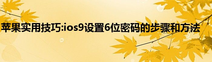 苹果实用技巧:ios9设置6位密码的步骤和方法