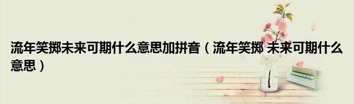 流年笑掷未来可期什么意思加拼音（流年笑掷 未来可期什么意思）