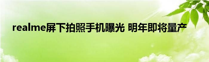 realme屏下拍照手机曝光 明年即将量产