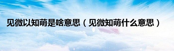 见微以知萌是啥意思（见微知萌什么意思）
