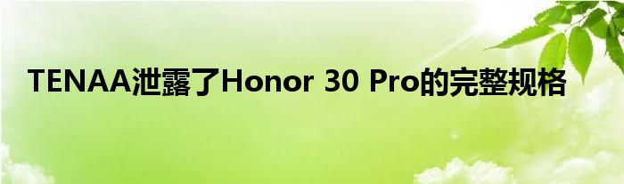 TENAA泄露了Honor 30 Pro的完整规格