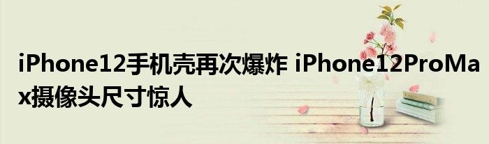 iPhone12手机壳再次爆炸 iPhone12ProMax摄像头尺寸惊人