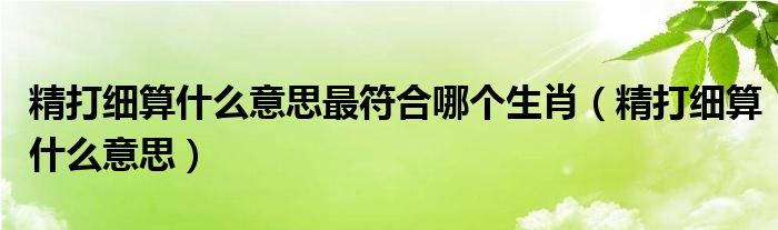 精打细算什么意思最符合哪个生肖（精打细算什么意思）