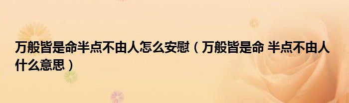 万般皆是命半点不由人怎么安慰（万般皆是命 半点不由人 什么意思）