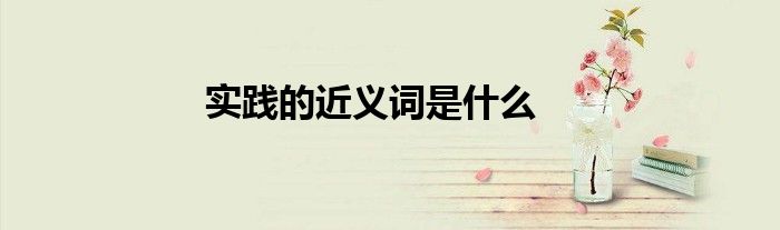 实践的近义词是什么