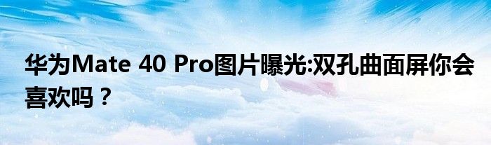 华为Mate 40 Pro图片曝光:双孔曲面屏你会喜欢吗？