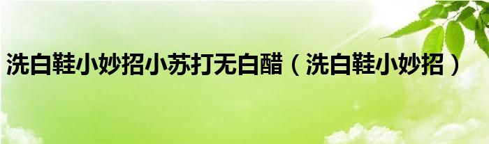 洗白鞋小妙招小苏打无白醋（洗白鞋小妙招）