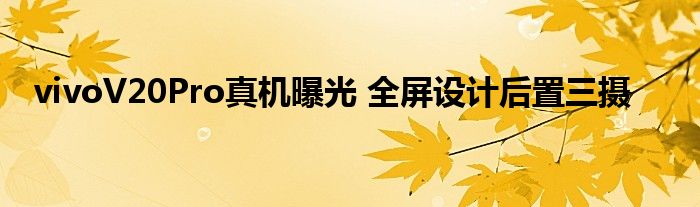 vivoV20Pro真机曝光 全屏设计后置三摄