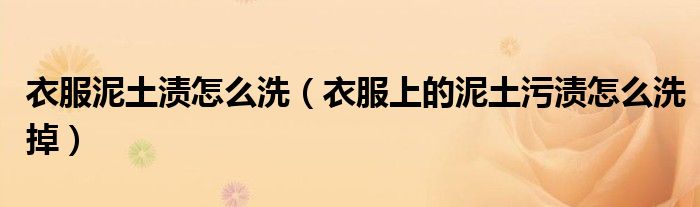 衣服泥土渍怎么洗（衣服上的泥土污渍怎么洗掉）
